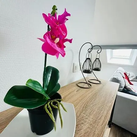 Le Jjr * Charleville-Mézières
